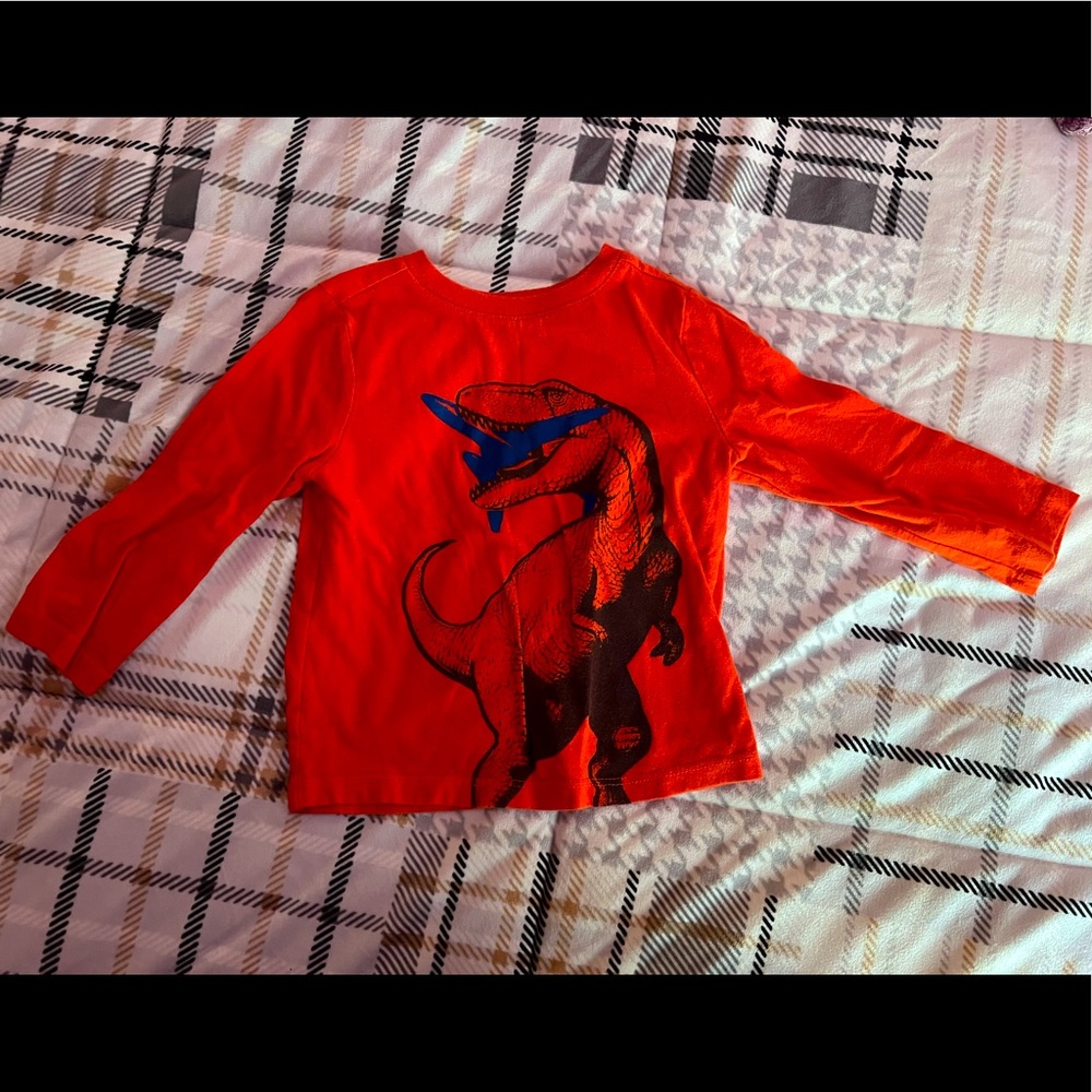 Dinosaur shirt